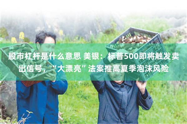 股市杠杆是什么意思 美银：标普500即将触发卖出信号，“大漂亮”法案推高夏季泡沫风险